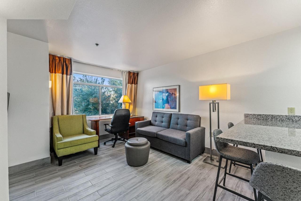Chandler 1 Bd 1 Ba Fully Renovated Premium Lux Apartment Pets Allowed Экстерьер фото